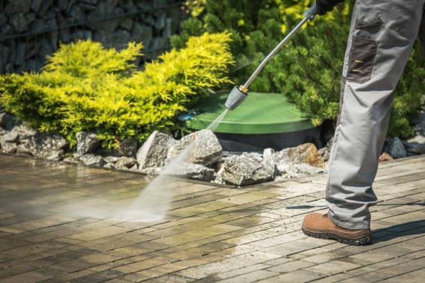 Best Driveway Pressure Washing  in Pacific, WA