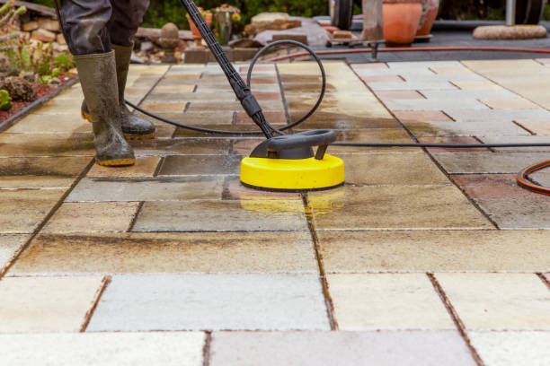 Best Animal Enclosure Cleaning  in Pacific, WA